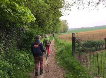 Tocht Stappen Graven - #240405 - Grez, Morsaint, Biez, Stampia*** - Photo
