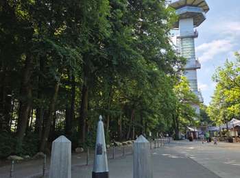Randonnée Marche Vaals - Bois de Preuss  - Photo