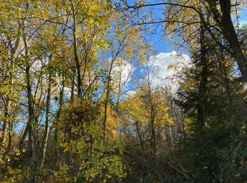 Trail Walking Raeren - Rearen 24 km - Photo