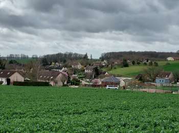 Trail Walking Villiers-Louis - Villiers-Louis 230325 - Photo