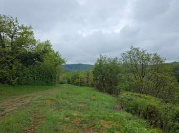 Trail Walking Écrille - Quelque part dans le Jura 🥾 - Photo
