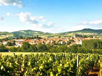 Percorso Marcia Vic-le-Comte - Vic_le_Comte_Campagne - Photo