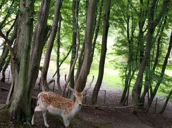Tour Wandern La Hulpe - Genval_0821 - Photo
