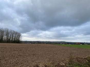 Trail Walking Ath - Dimanche 20/12/2020 - Photo