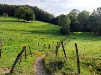 Trail Walking Esneux - Promenade des artistes   - Photo