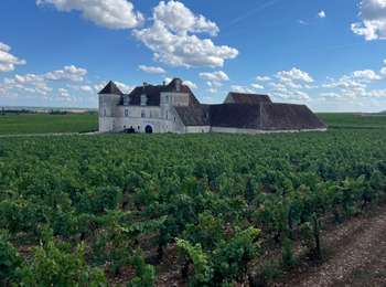 Trail Walking Vougeot - Autour de Clos Vougeot - Photo