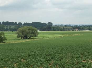 Trail Walking Leuze-en-Hainaut - Leuze Marcheurs Souvenir Leuze-en-Hainaut - Photo