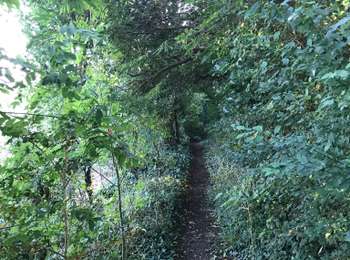 Trail Walking Awans - Marche de la fédération à Awans  - Photo