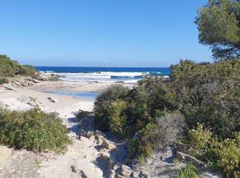 Trail Hybrid bike Saint-Florent - piste plage depuis St Flo - Photo