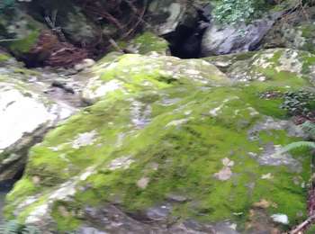 Trail Walking Sisco - Moline  - Photo