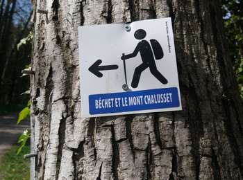 Percorso Marcia Châtel-Guyon - Béchet et le mont Chalusset - Photo