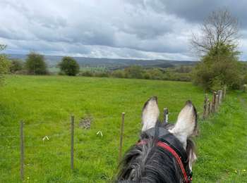 Percorso Equitazione Theux - Ninglinspo  - Photo