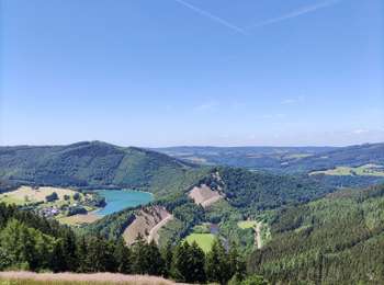 Trail Walking Stavelot - Promenade du point de vue de Ster  - Photo