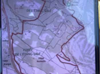 Excursión Bici eléctrica L'Étang-Salé - Raid sable 2022 prologue - Photo