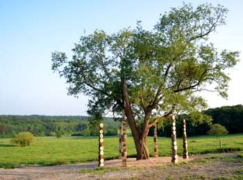 Tour Wandern Somme-Leuze - Sentiers d'Art : Boucle16 - Somal - Photo