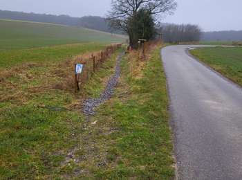 Trail Walking Gerpinnes - Fromiee 110225 - Photo