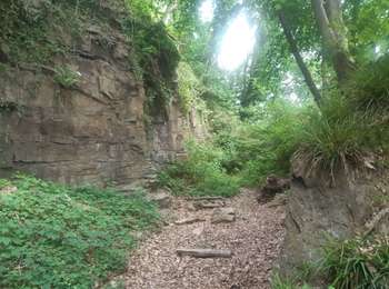 Trail Walking Pepinster - pepinster . drolenval . hoduinry . goffontaine . trou renard.  fraity . mazures . mousset . pepinster - Photo