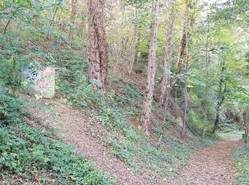 Tocht Te voet Riemst - 2.Eijsden/3.Kanne/4.Ternaaien: Gele Streep - Photo
