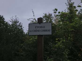 Percorso Marcia Saint-Germain-en-Laye - circuit MA 271019  - Photo