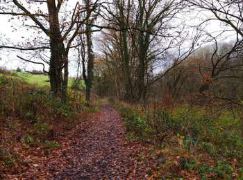 Trail Walking Flémalle - La vallée du ruisseau des Awirs   - Photo