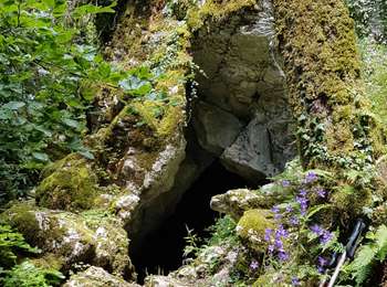 Trail Walking Montfleur - Monfleur-Bourcia-Nivigne-H - Photo