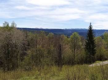 Trail Walking Leschères - Vichaumois-Valfin - Photo