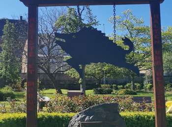 Randonnée V.T.T. Saint-Hubert - ST HUBERT ... Forêt du Roi Albert. - Photo