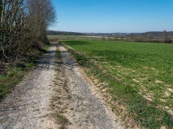 Tocht Stappen Court-Saint-Étienne - Promenade 3 de Franquenies - Photo