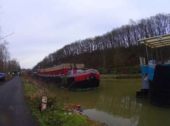 Trail Mountain bike Braine-le-Comte - vtt ronquiére 1 - Photo