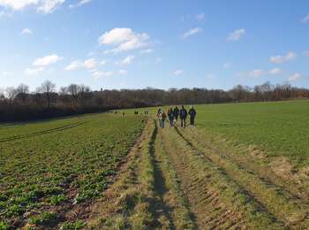 Trail Walking Florennes - Balade à Morialmé - Photo