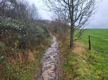 Tocht Stappen Jemeppe-sur-Sambre - Spy 191224 - Photo
