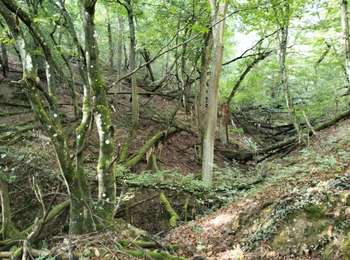 Percorso Marcia Loire-sur-Rhône - 69-loire-sur-rhone2-pet-de-loup-18km-560m - Photo