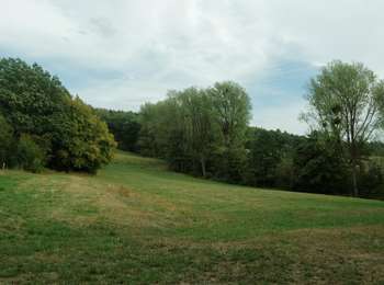 Tocht Te voet Stolberg - Lehmjöres-Weg - Photo