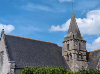 Randonnée Marche Athée-sur-Cher - Athée-sur-Cher - Chandon - Tour du Brandon - 21.2km 160m 4h40 (50mn) - 2025 05 10 - Photo