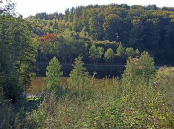 Trail Walking La Bruyère - 17-08-25 : boucle de la bruyère - Photo