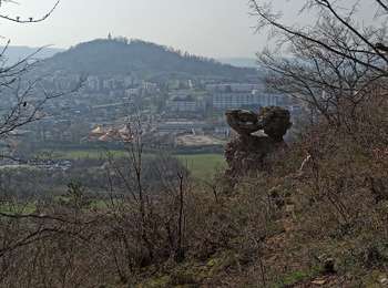 Trail Walking Frotey-lès-Vesoul - 07-03-26 : tour Sabot Frotey par le bois - Photo