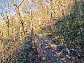 Excursión Senderismo Comblain-au-Pont - A la découverte de Comblain-au-Pont 🥾 - Photo