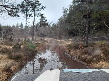 Tocht 4x4 Fénols - Vabre Anglés Parc du haut Languedoc - Photo