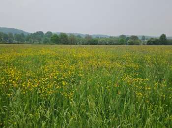 Randonnée Marche Maastricht - Intratuin (shopping & rando) - Photo
