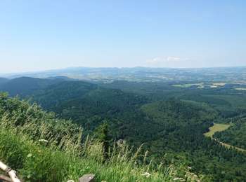 Percorso Marcia Orcines - ascension puy de dôme départ col de ceyssat par chemin des muletiers 2019-07-03 - Photo