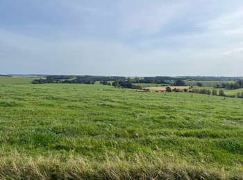 Tocht Stappen Bertogne - 40.069 Renuamont - Givroulle - Photo