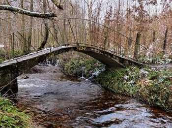 Excursión Senderismo La Roche-en-Ardenne - Promenade de la « Baraque de Berismenil » - Photo