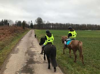 Trail Horseback riding Fougerolles-Saint-Valbert - Sarcenot 1h30 à pied ou 1h à poney  - Photo