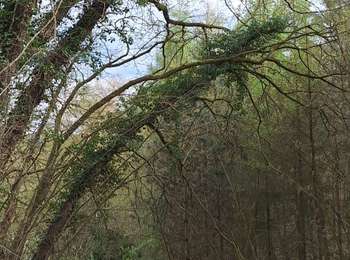 Tour Wandern Andenne - Seilles ( balade du chant des oiseaux) - Photo