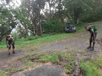 Trail Donkey back riding Vieux-Habitants - Beaugendre-Village - Photo