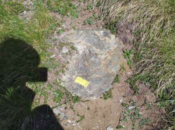 Tocht Stappen Gavarnie-Gèdre - pic de Lary thmie fait - Photo