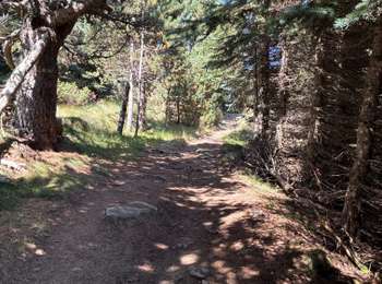 Tocht Stappen Font-Romeu-Odeillo-Via - Belle boucle forêt de font Romeu - Photo