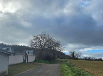 Percorso Marcia Seychalles - Balade Courcourt Seychalles - Photo