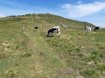 Randonnée Marche La Bresse - Le Hohneck et ses lacs d'altitude - Photo