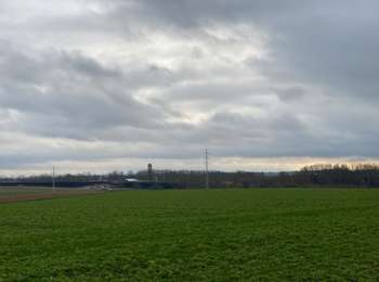 Trail Walking Brugelette - Brugelette 20 km - Photo